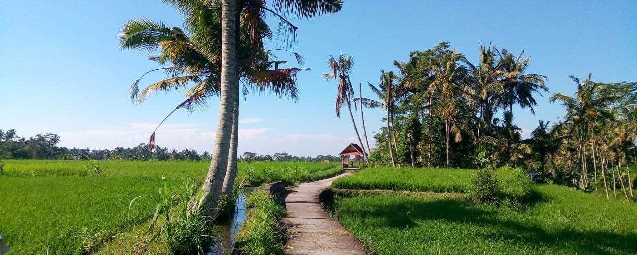Baik Bike   North Ubud Biking Moderate Trip Header