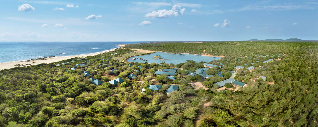 Cinnamon Wild header