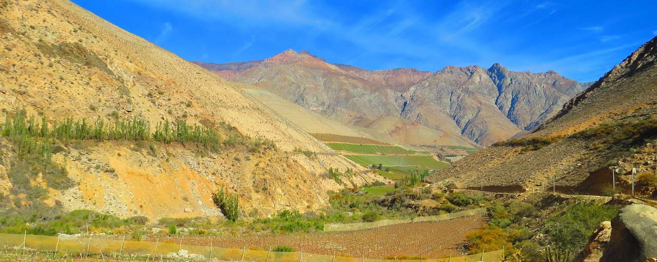 Elqui vallei