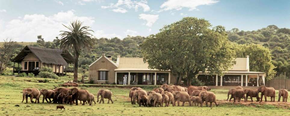 Gorah Elephant Camp header