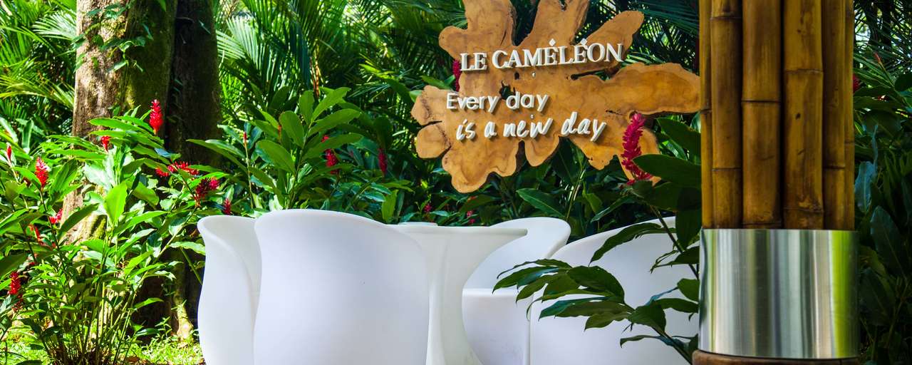 Header Le Cameleon jpg
