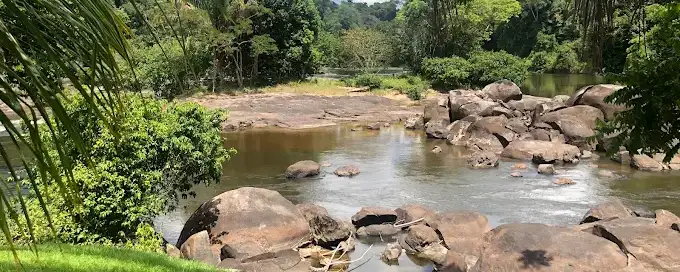 Jaw Jaw omgeving suriname