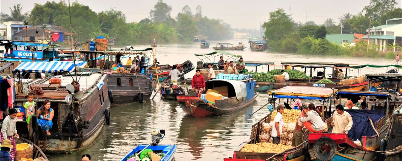 Mekong Delta header