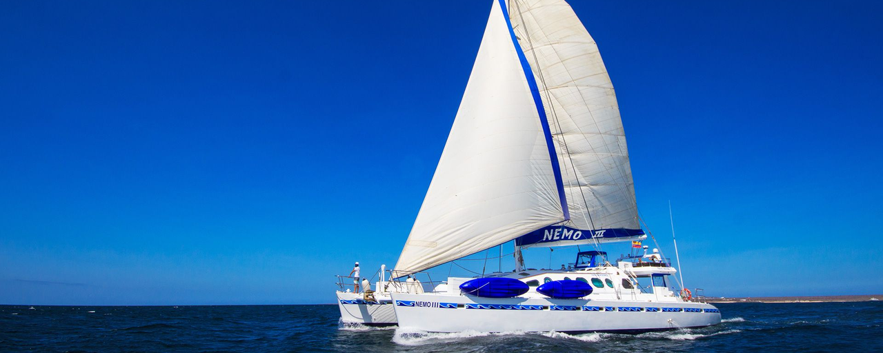 Nemo Galapagos Header