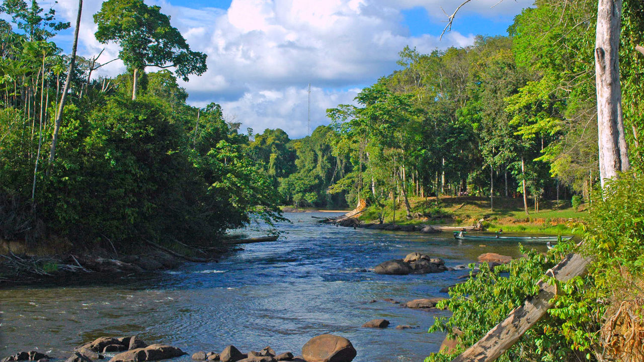 Nickerie