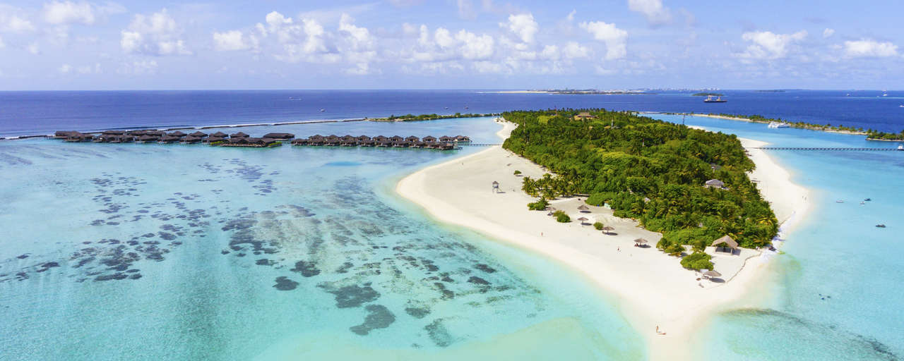 Paradise Island header