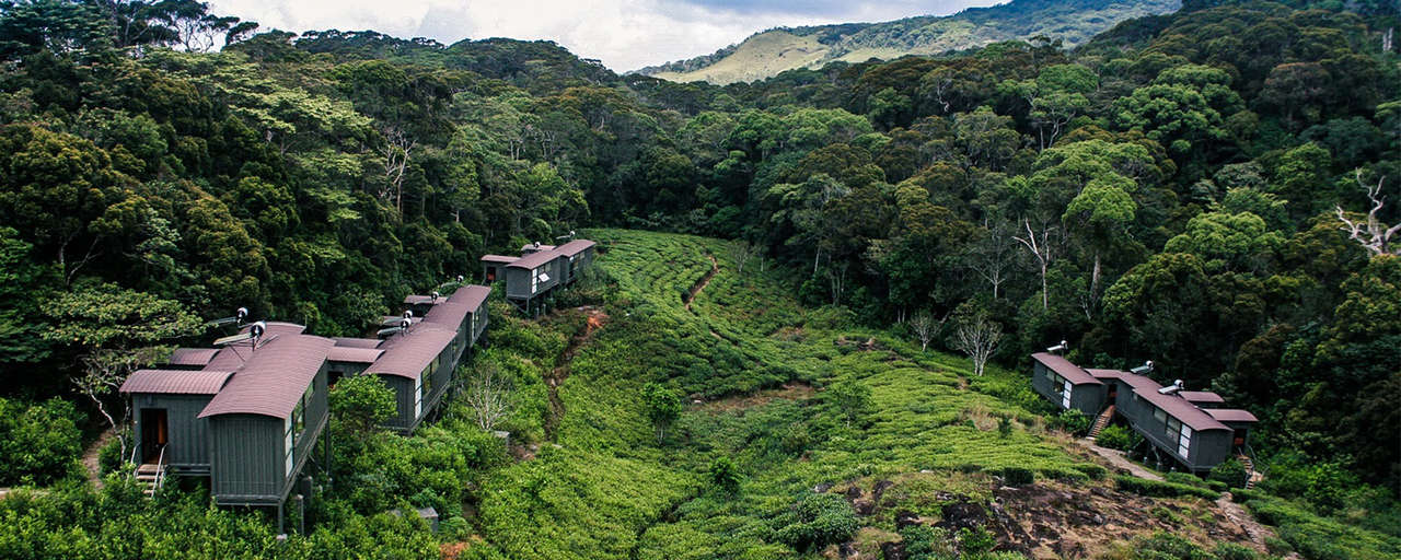 Rainforest Ecolodge header