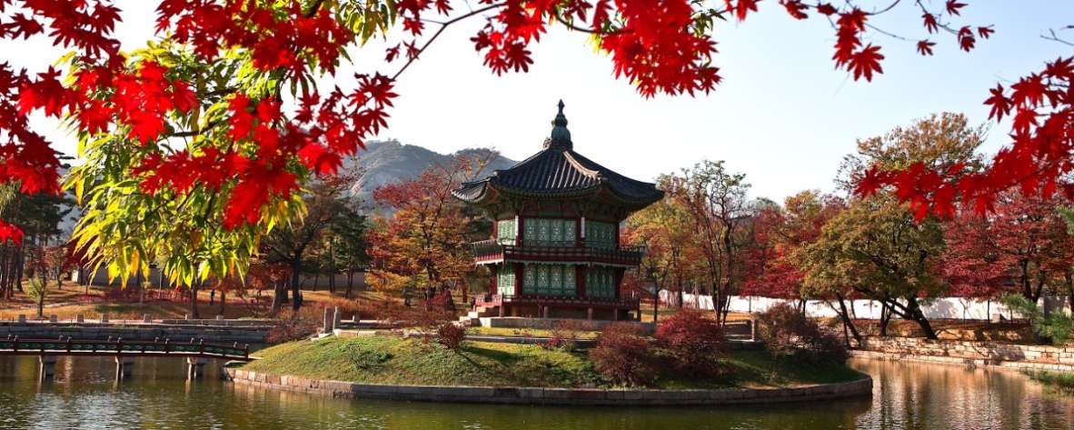 Reis naar Zuid Korea