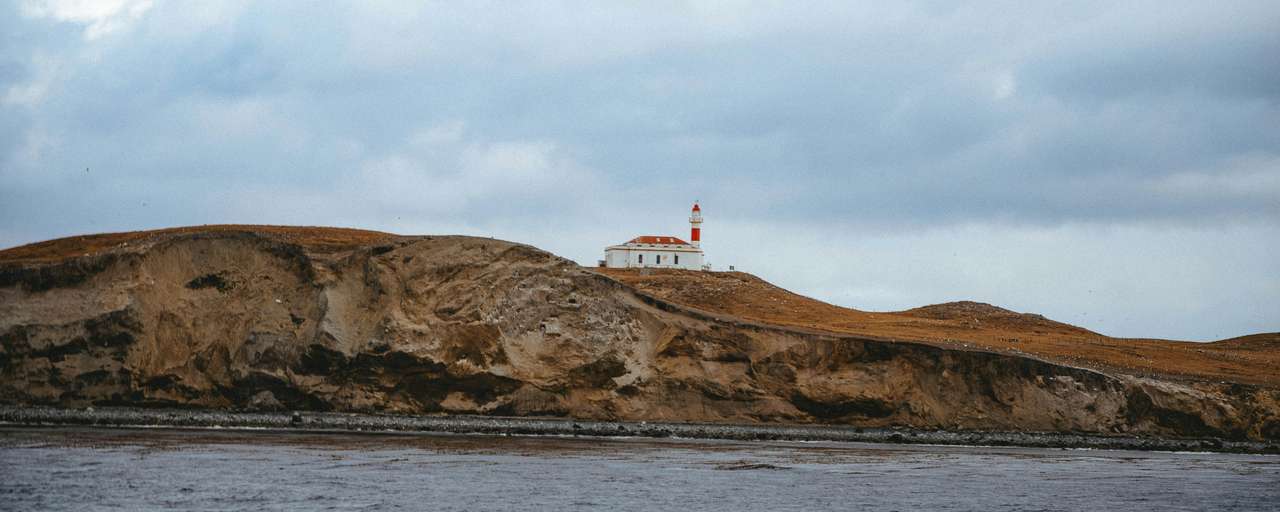 Rondreis Chili Punta Arenas Magdalena island