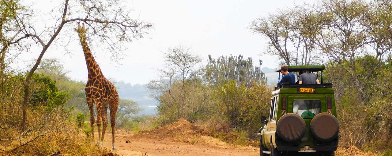 Rondreis Rwanda Akagera national park safari game drive