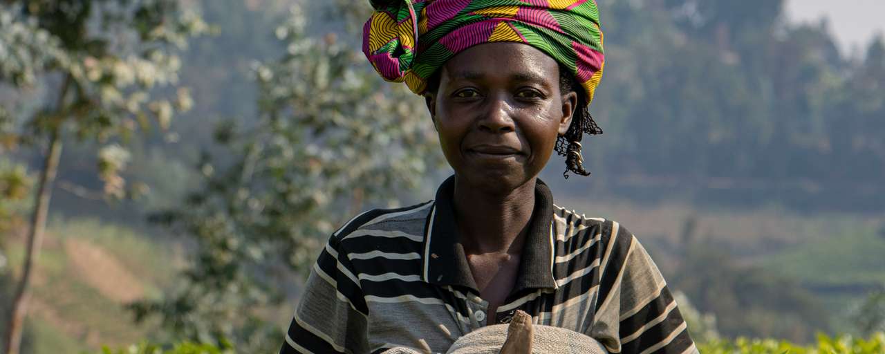 Rondreis Rwanda Nyungwe giakura thee plantage