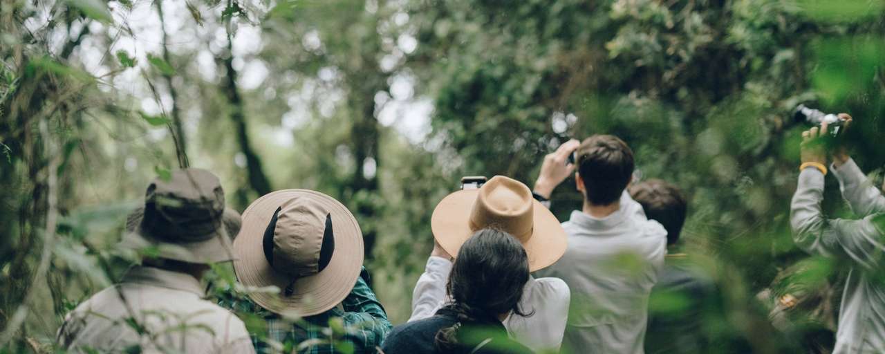 Rondreis Rwanda Volcanoes National park gorilla spotten gorilla trekking