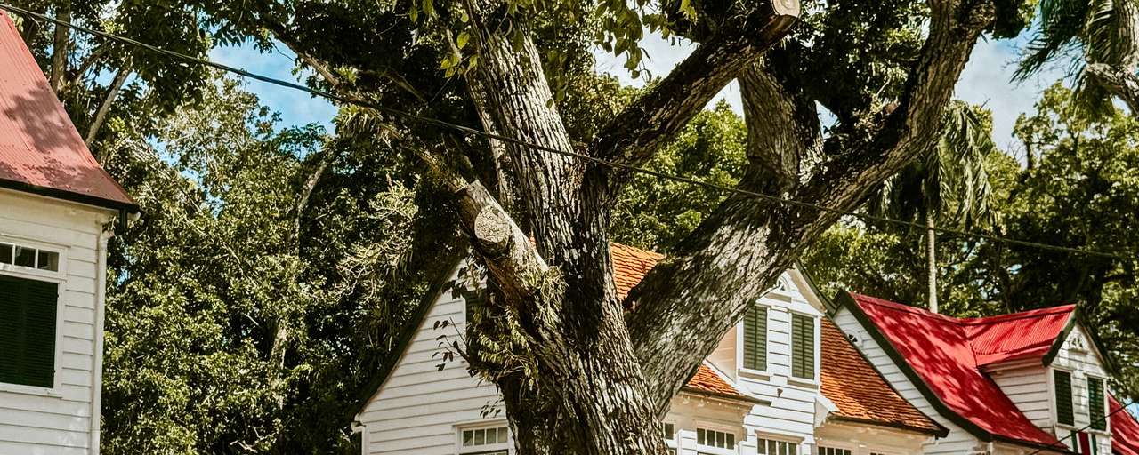 Rondreis Suriname Paramaribo Monumentele huizen bij Fort Zeelandia