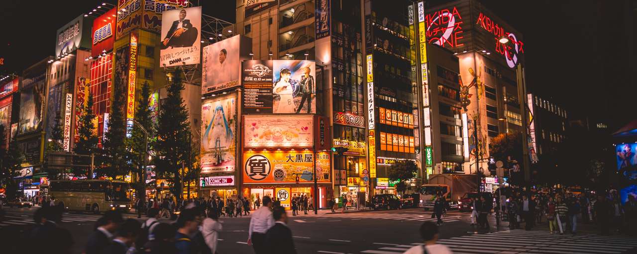 Rondreizen Japan   Tokyo   Billboards in de nacht