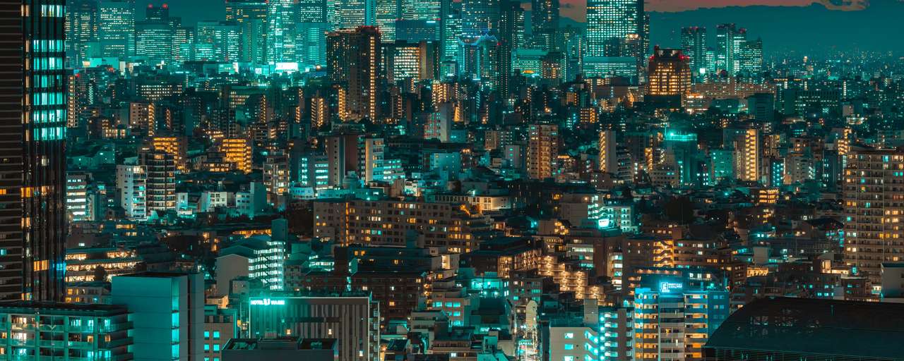 Rondreizen Japan   Tokyo   Skyline in de nacht