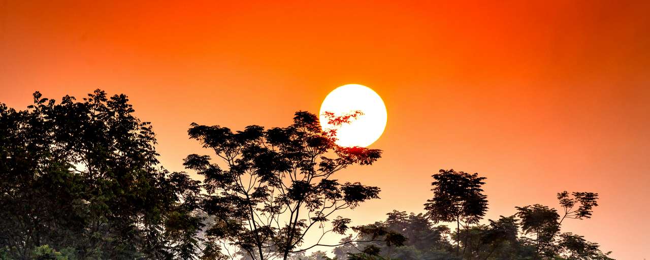 Sunset jungle tour