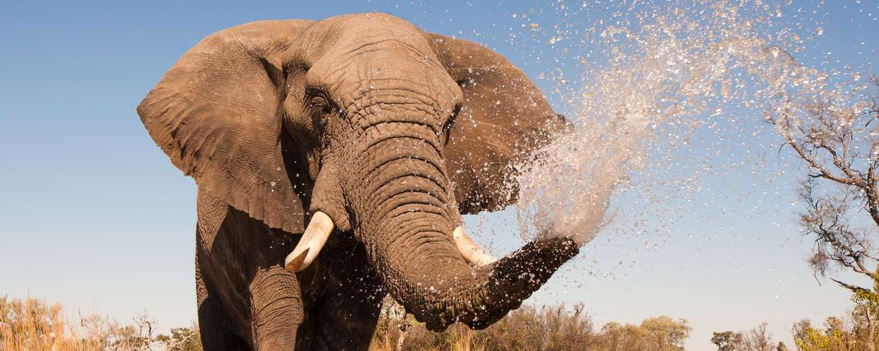 Vakantie naar Namibie mooiste routes en praktische tips