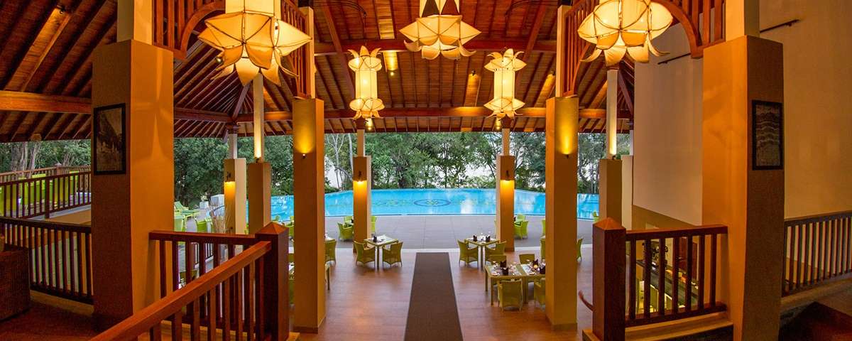 amaya signature  header