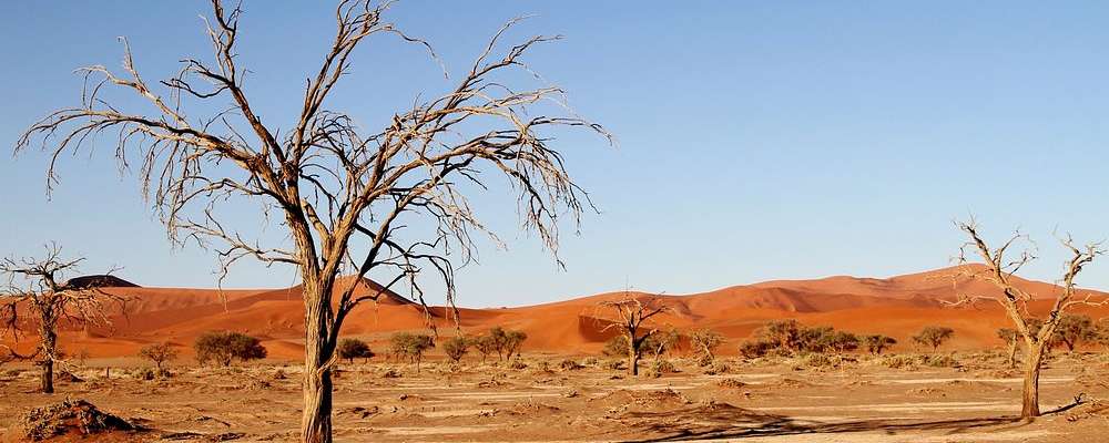 kalahari