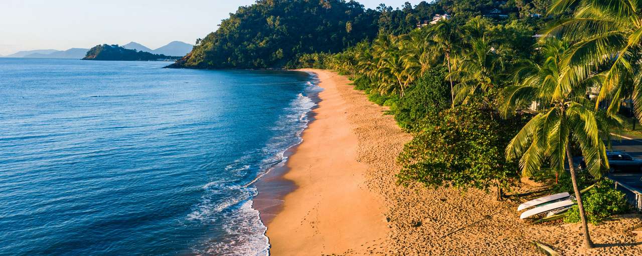 palm cove
