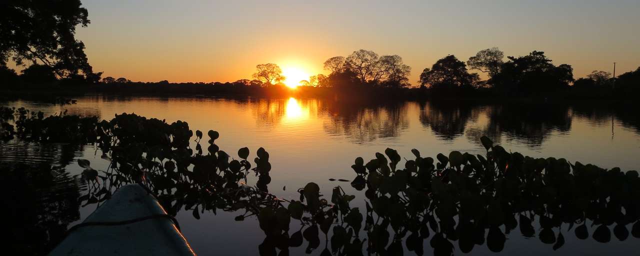 rio claro header goed