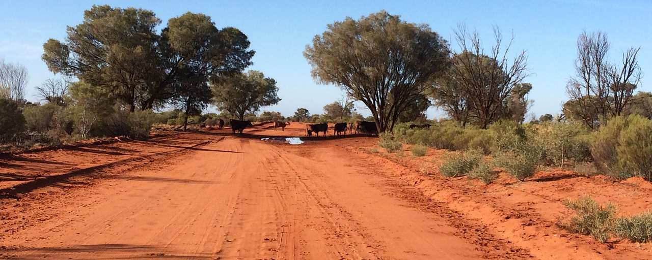 rondreis australie header
