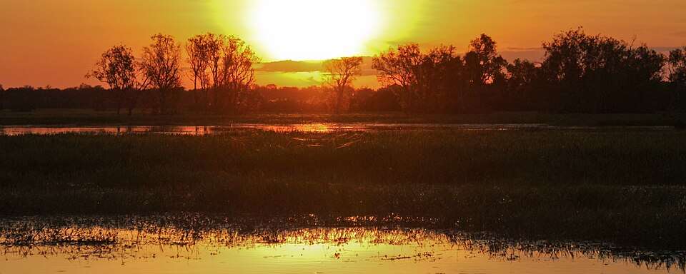 rondreis australie kakadu