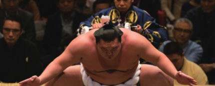 sumo